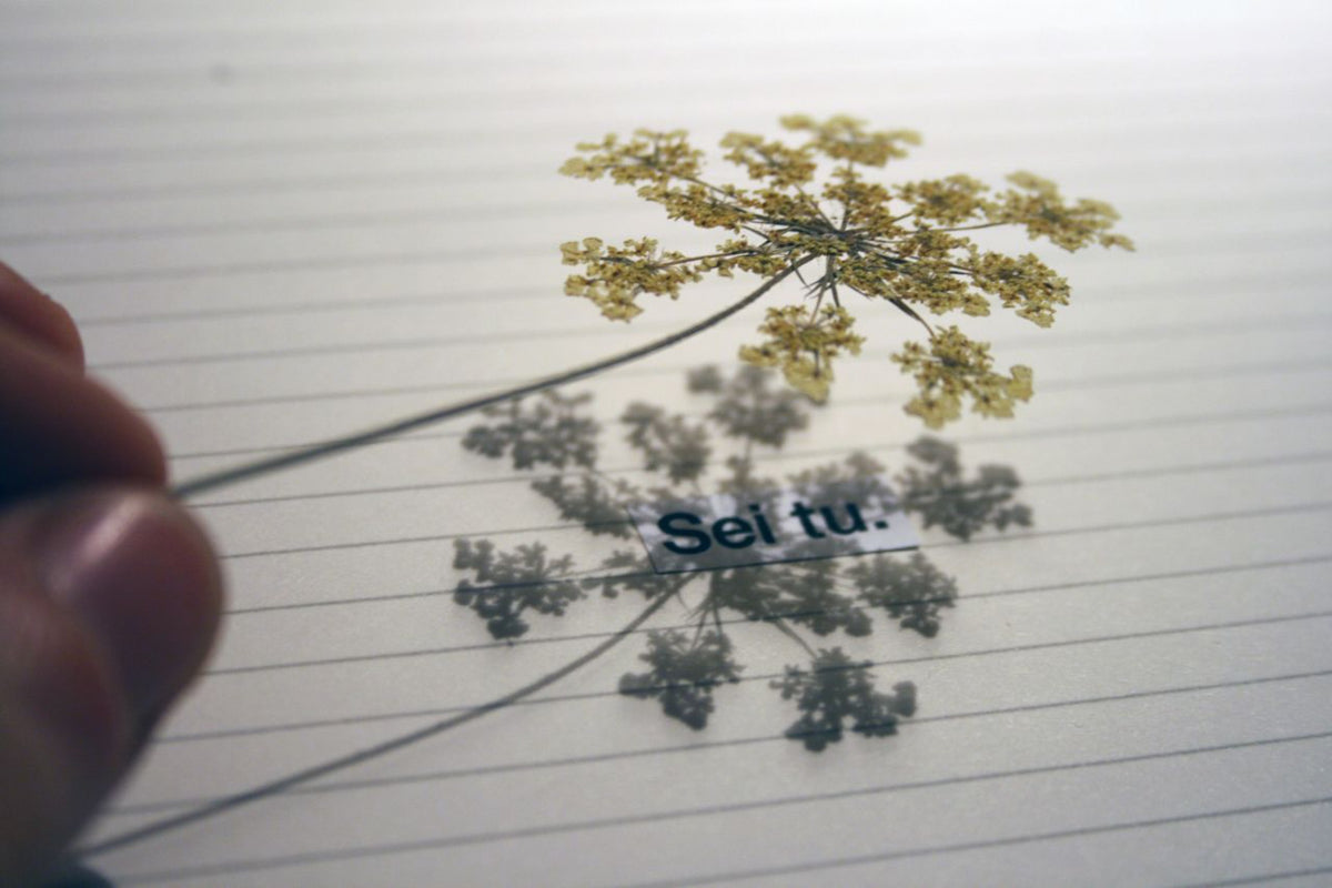 Grandi amori