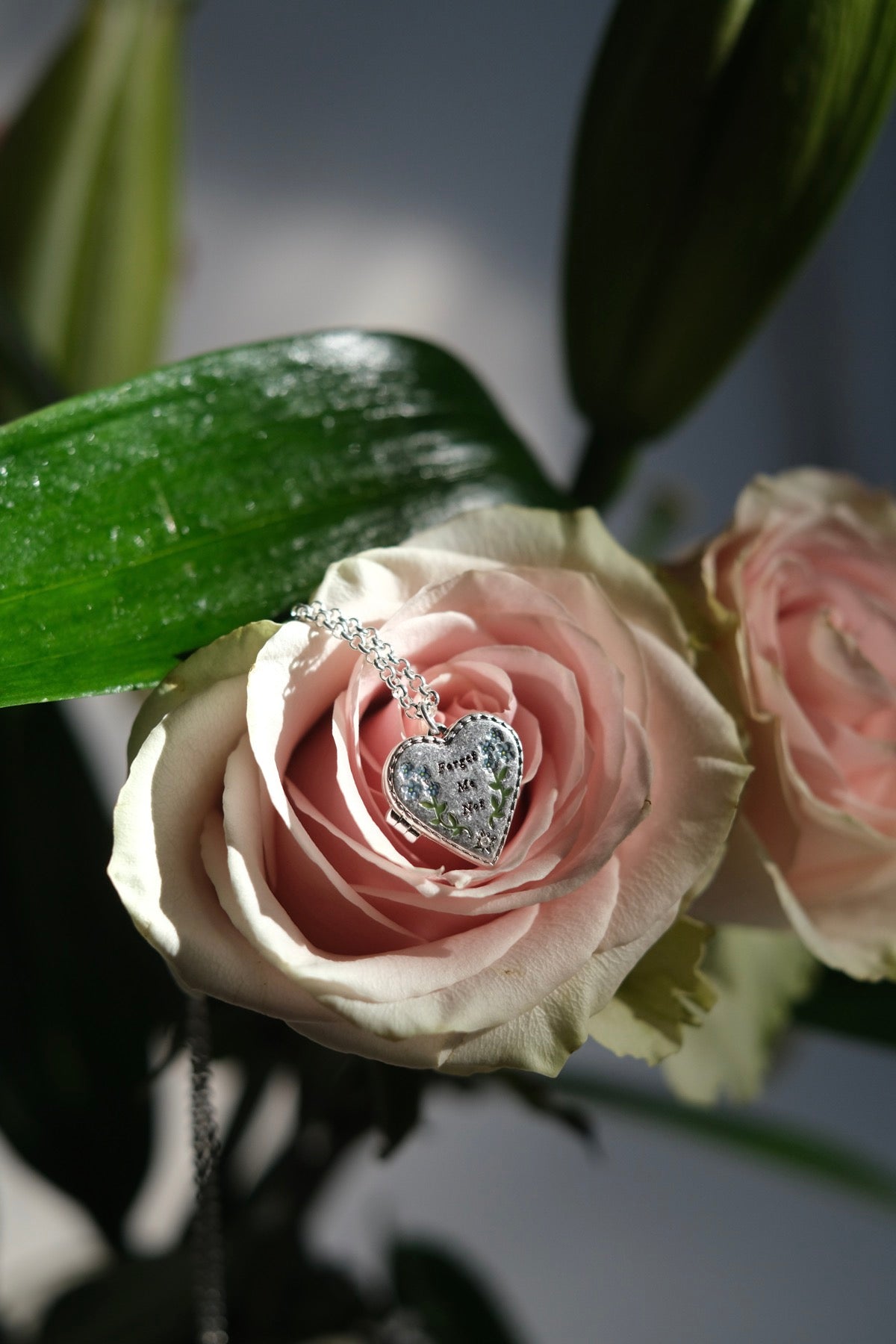 Collana cuore scrigno argento