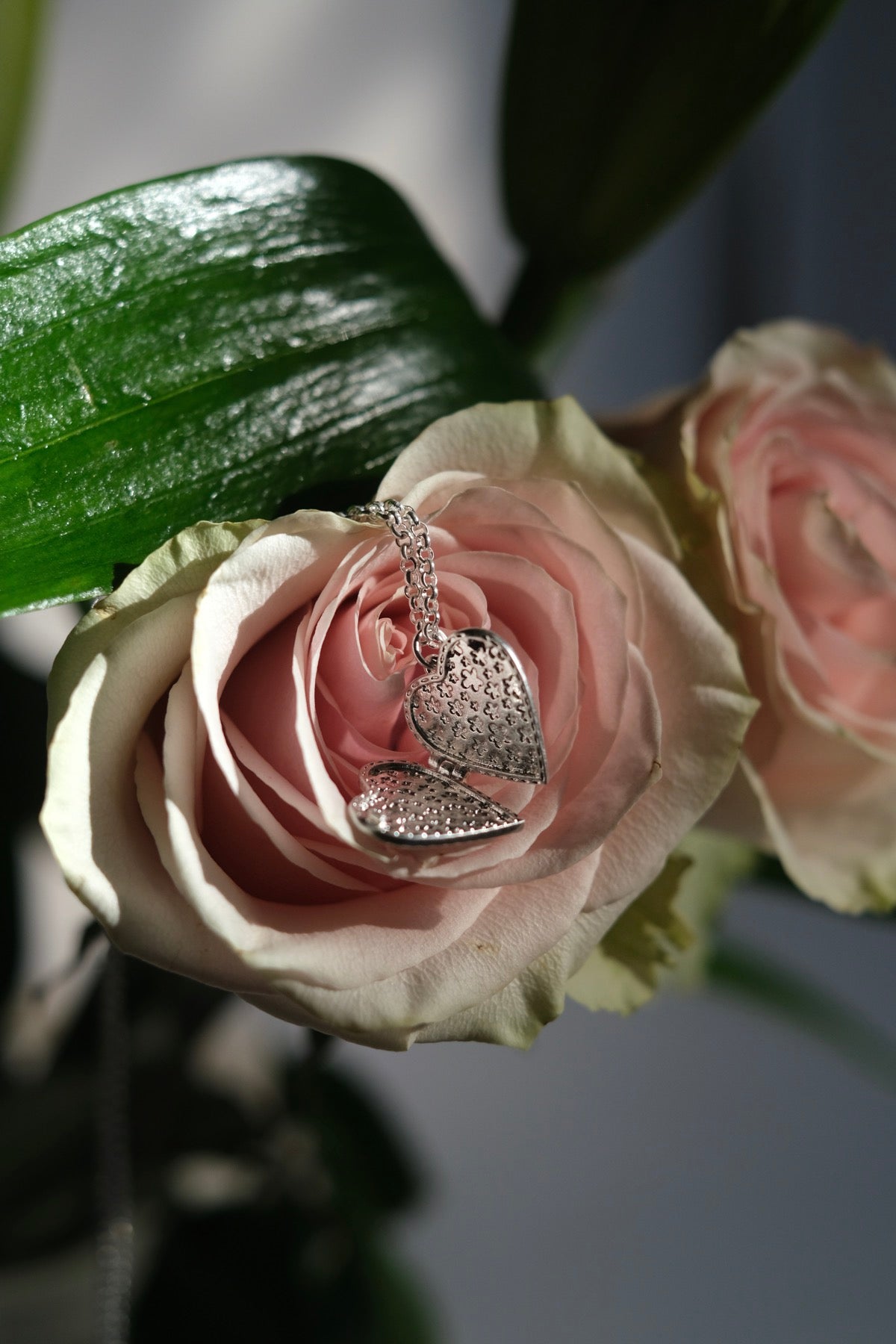 Collana cuore scrigno argento
