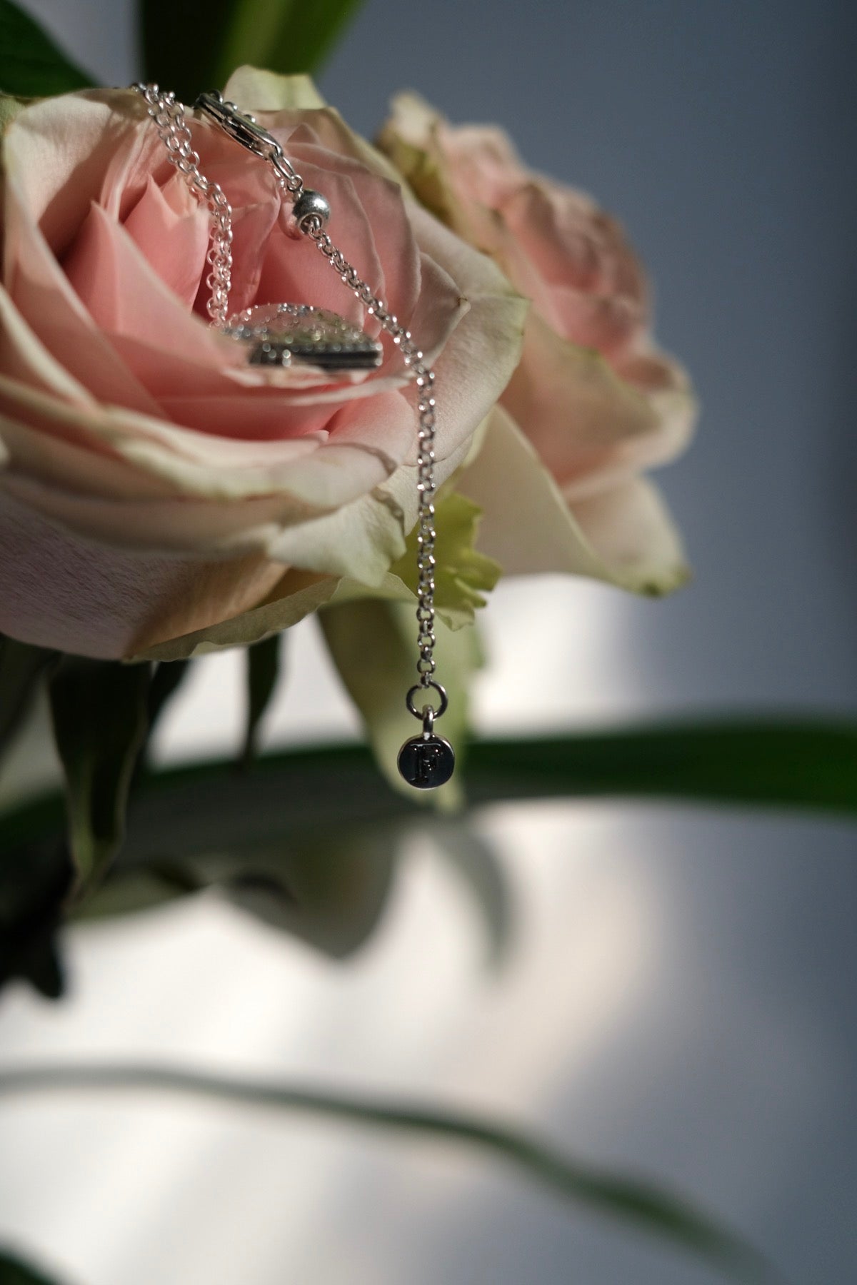 Collana cuore scrigno argento