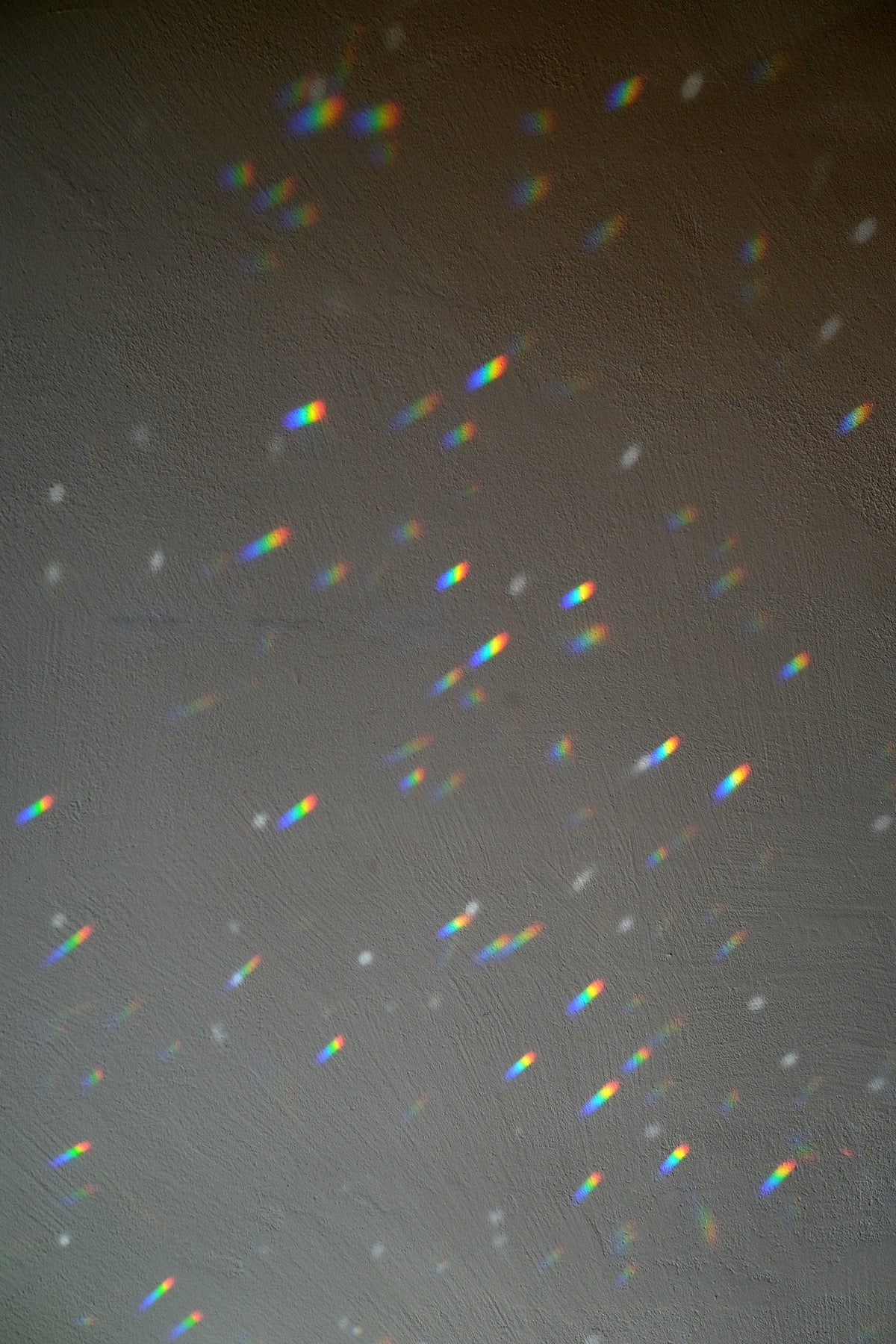 Suncatcher Cristallo da finestra vari soggetti