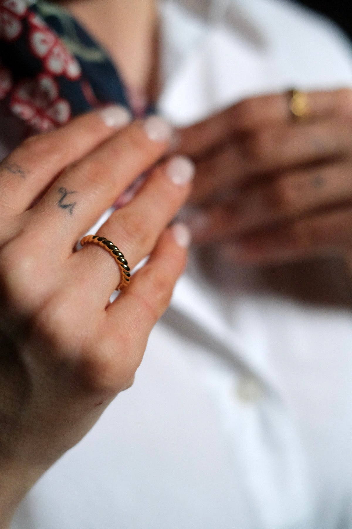 Anello Flavie