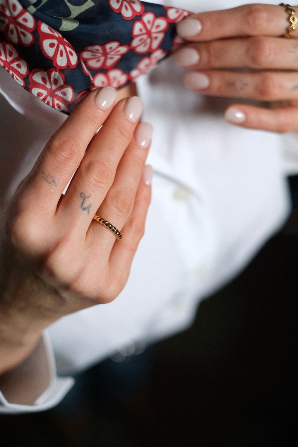 Anello Flavie