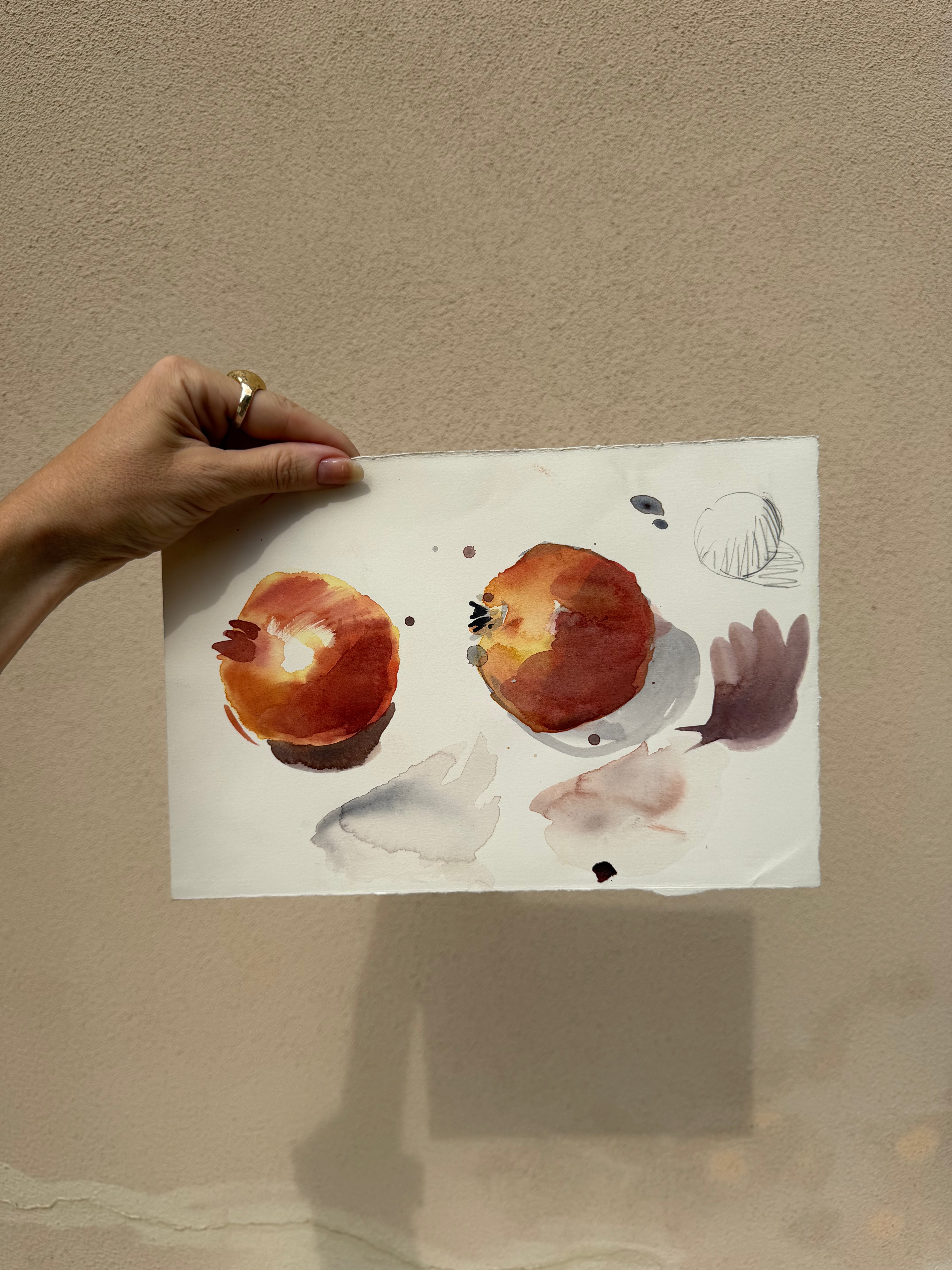 Dalla cartella del pittore tesoro numero 16