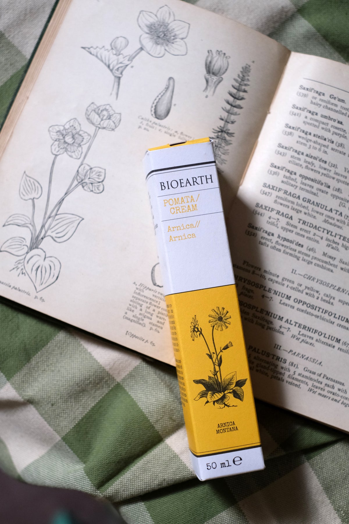 Pomata Arnica