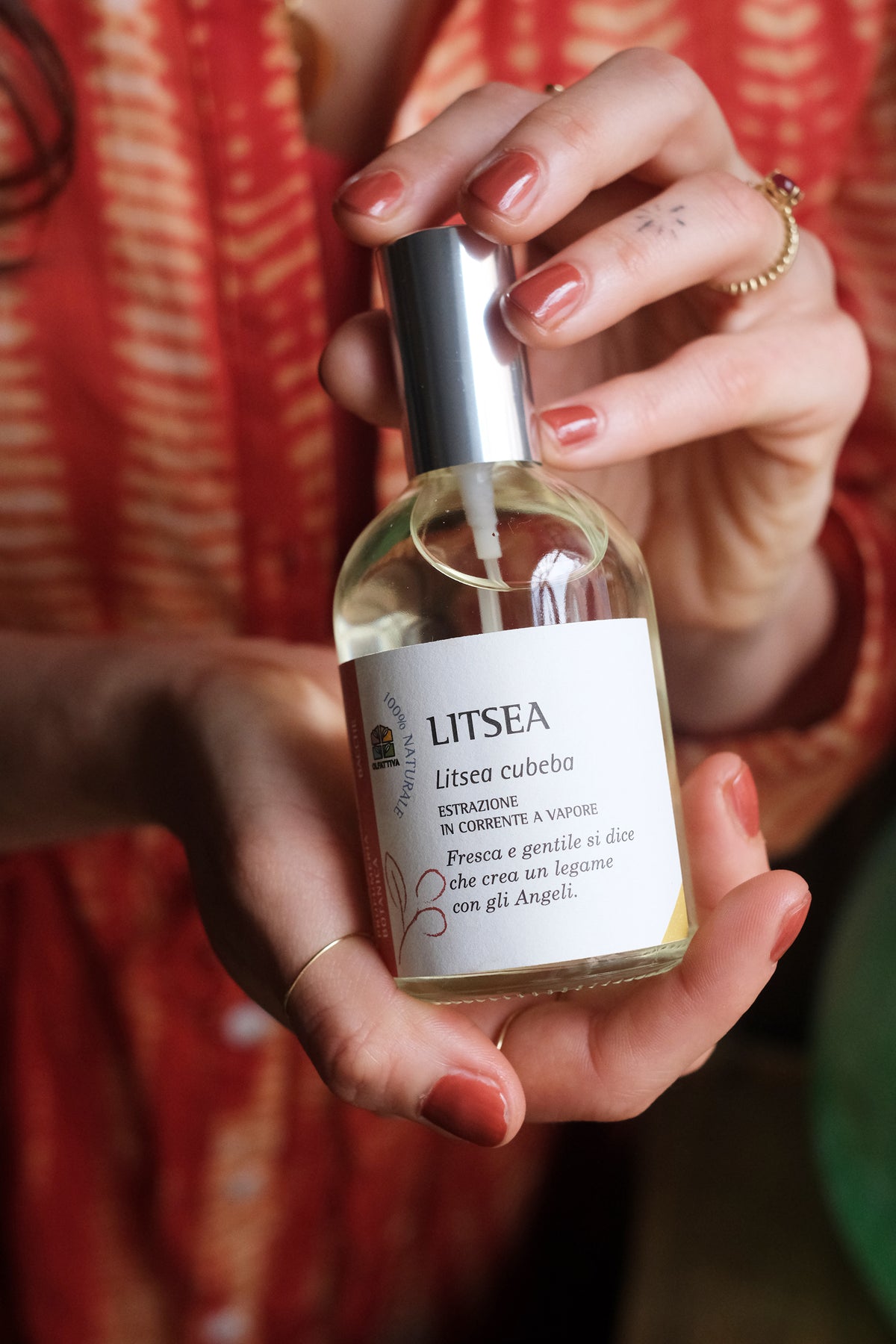 Litsea