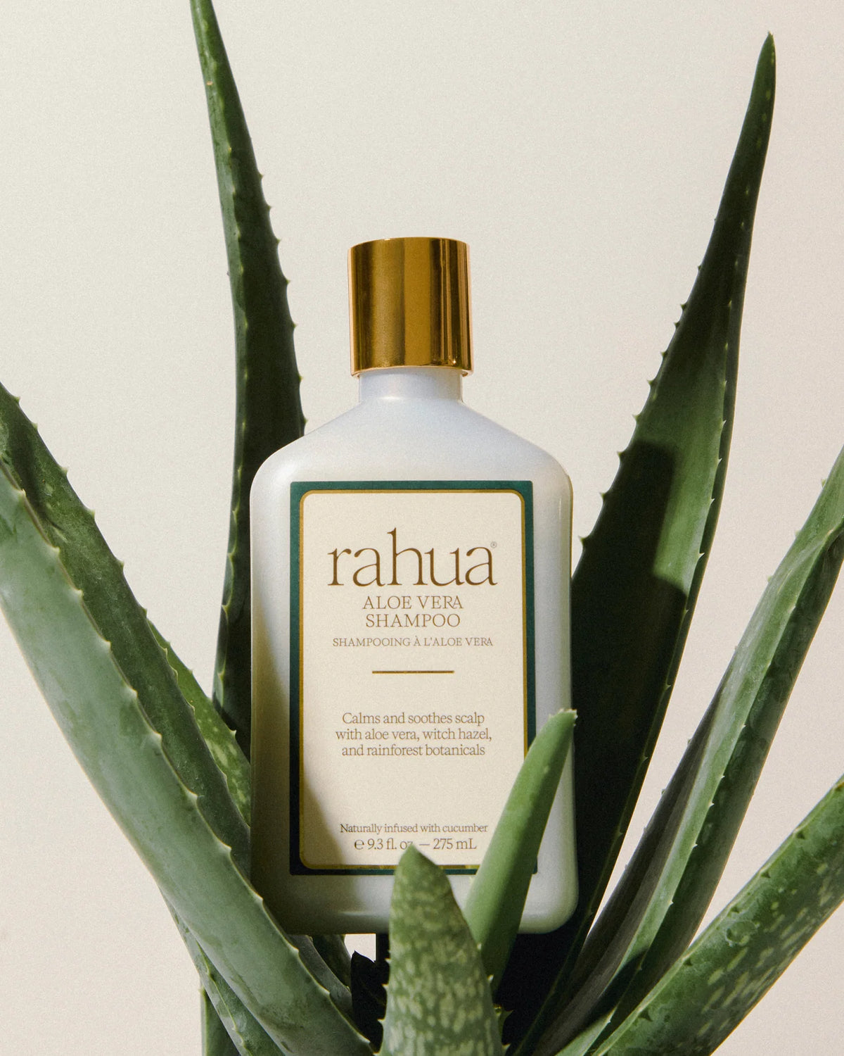 Aloe vera shampoo
