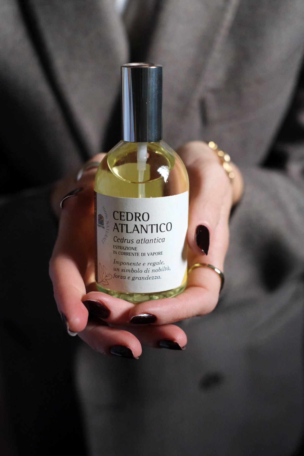 Cedro Atlantico
