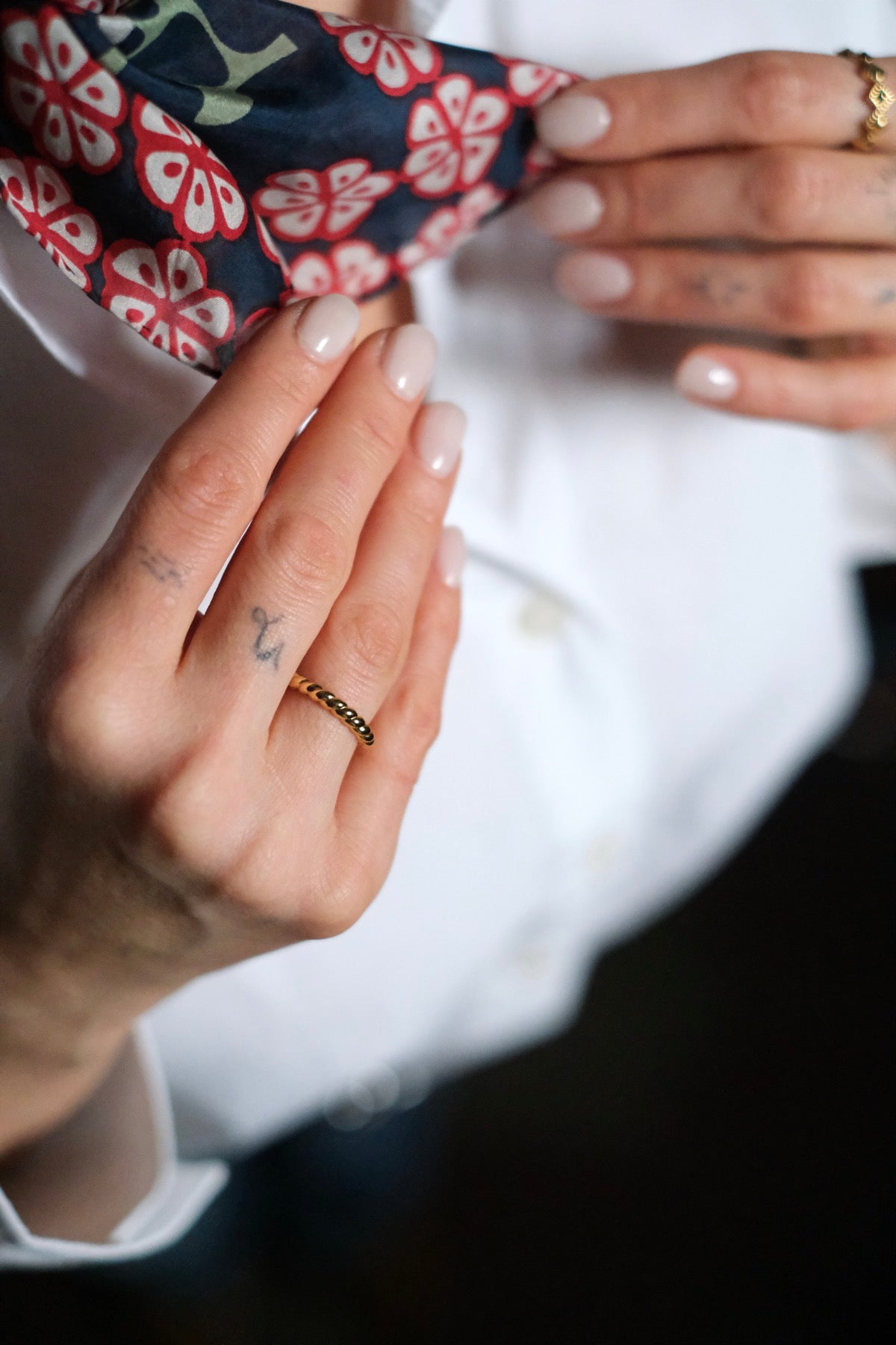 Anello Flavie