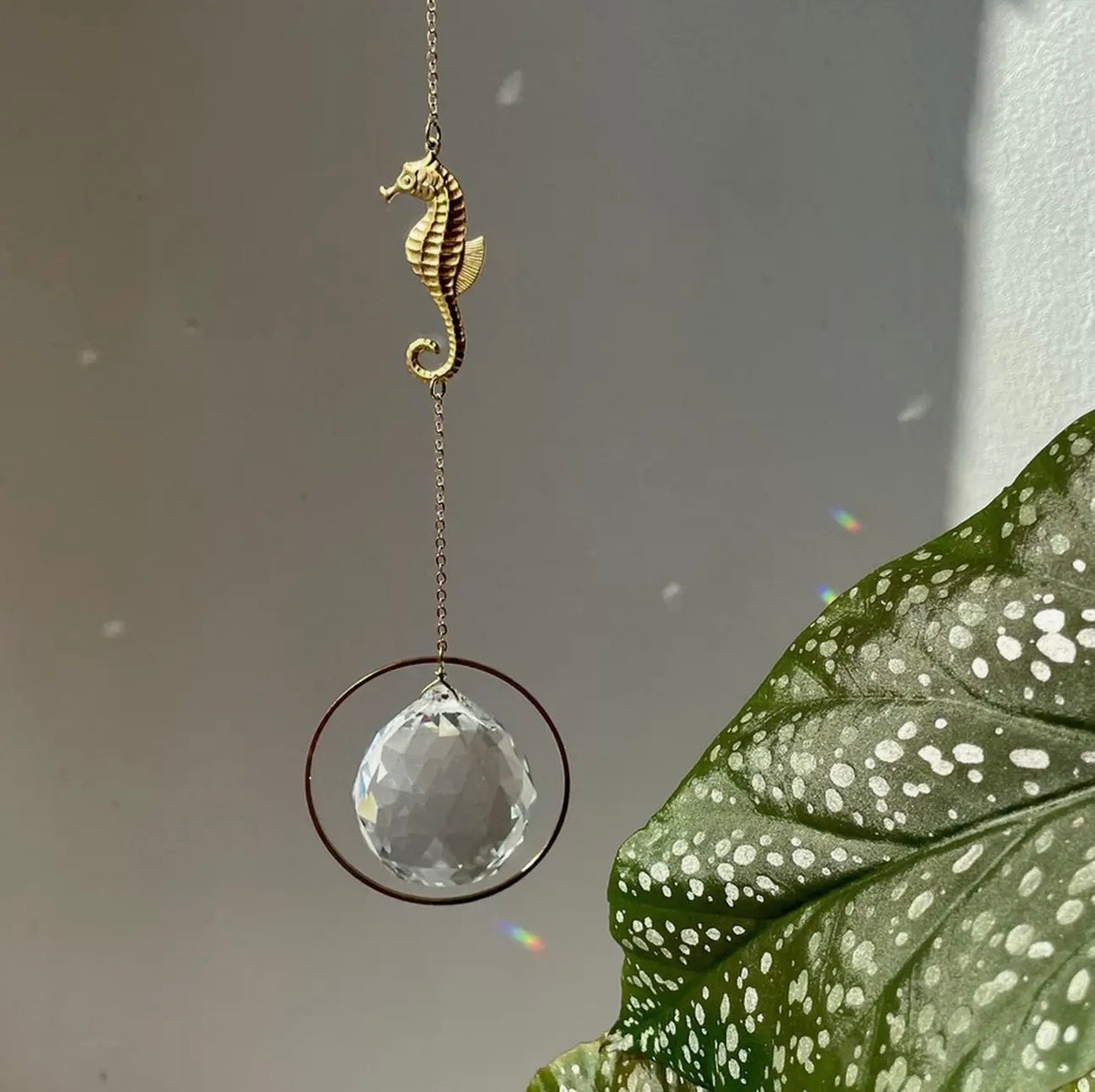 Suncatcher Cristallo da finestra vari soggetti