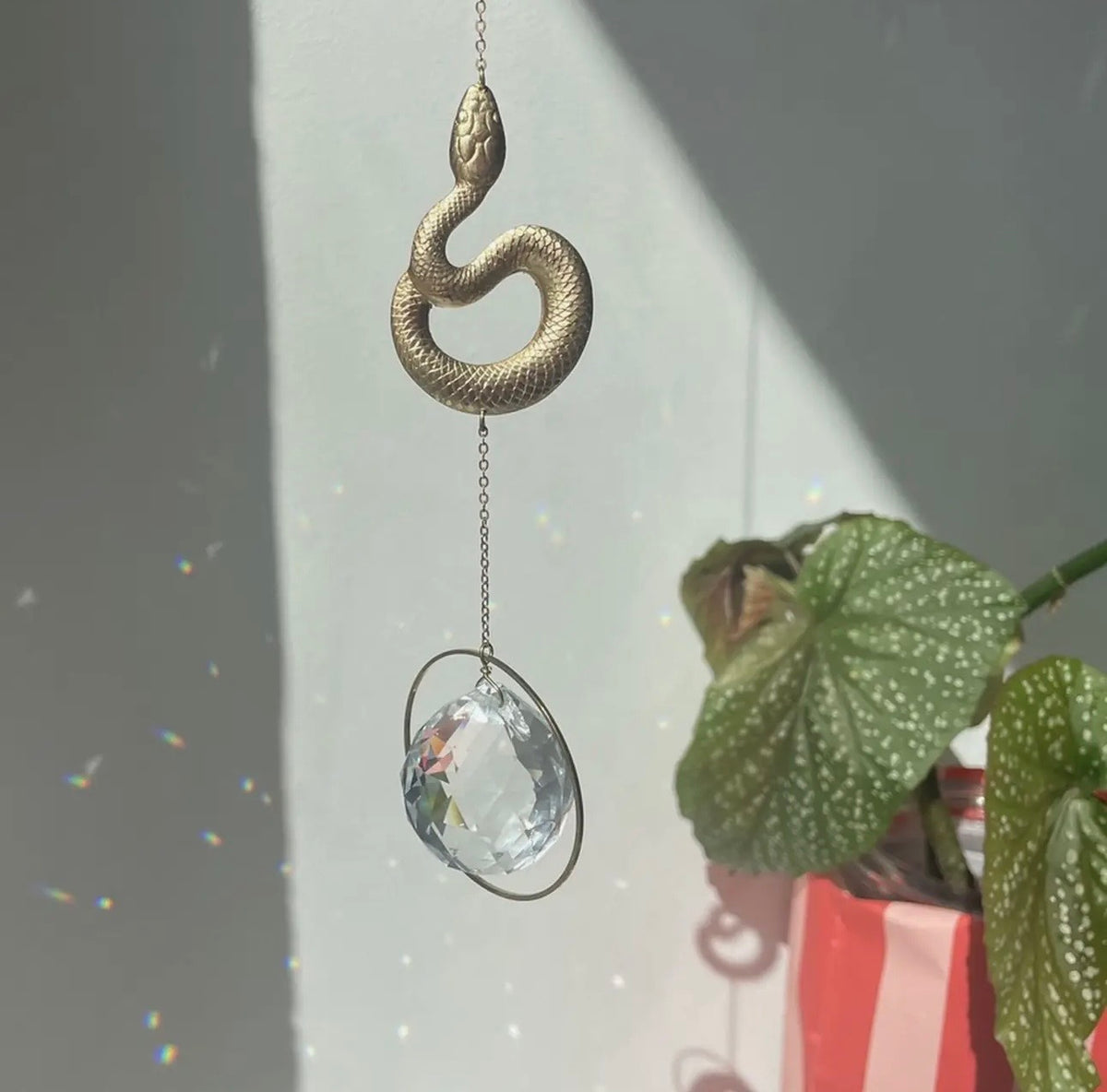 Suncatcher Cristallo da finestra vari soggetti