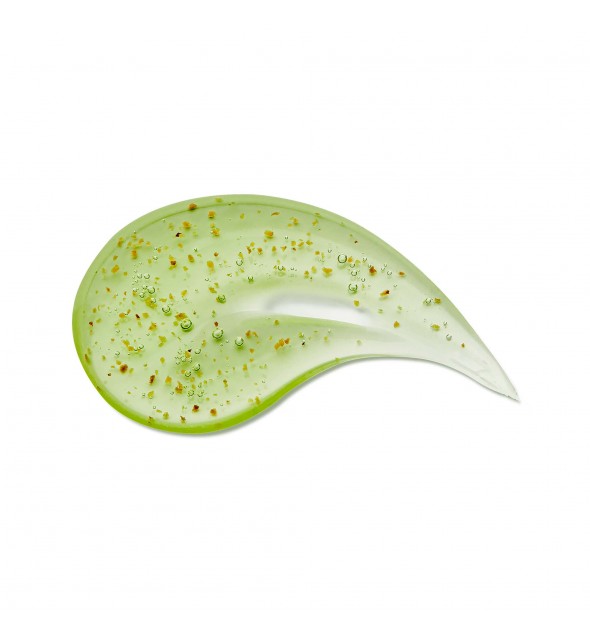Lime Sunday Refresh Shampoo